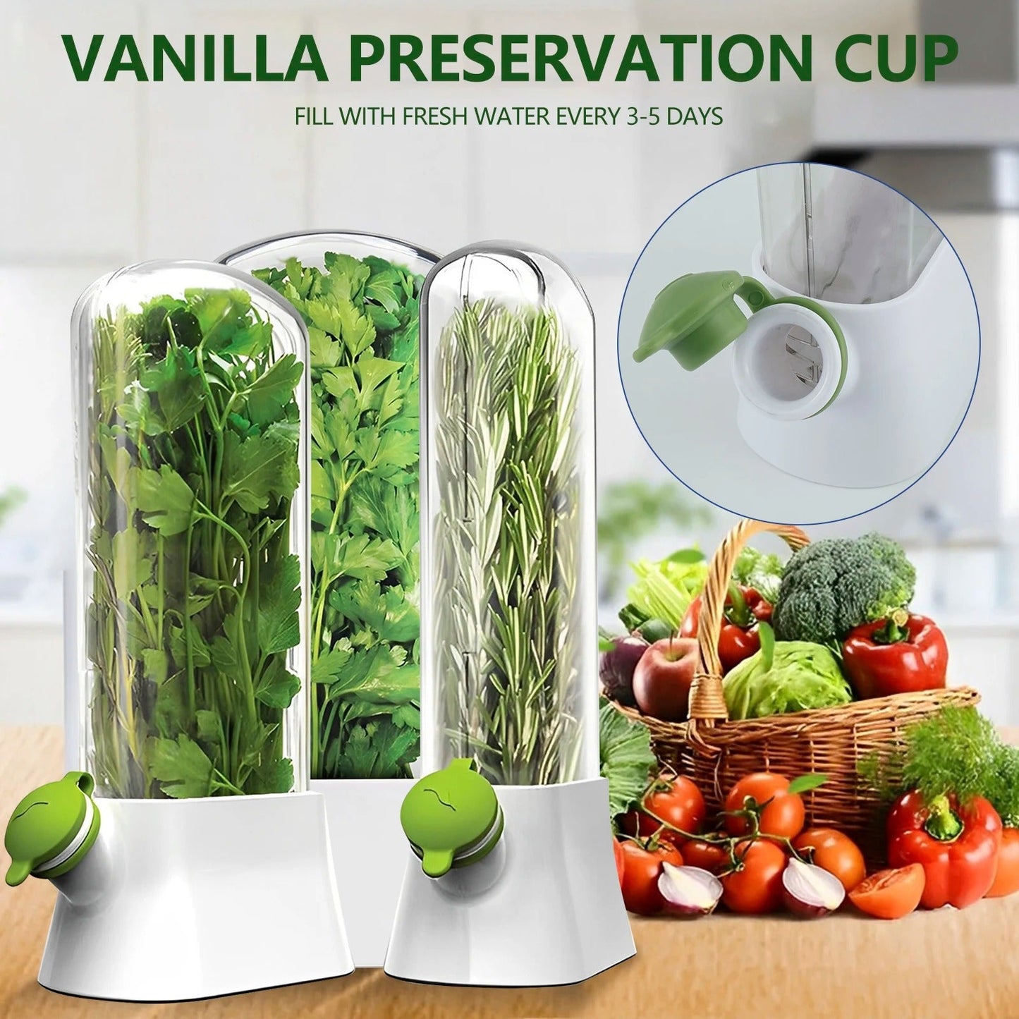 Fresh Herb Saver Container – Vegetable & Herb Storage Box
