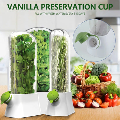 Fresh Herb Saver Container – Vegetable & Herb Storage Box