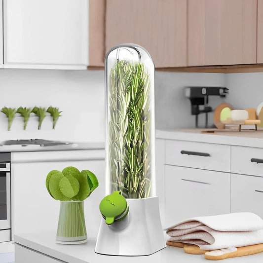 Fresh Herb Saver Container – Vegetable & Herb Storage Box