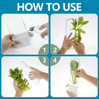 Fresh Herb Saver Container – Vegetable & Herb Storage Box