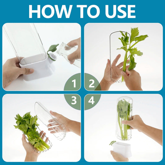 Fresh Herb Saver Container – Vegetable & Herb Storage Box