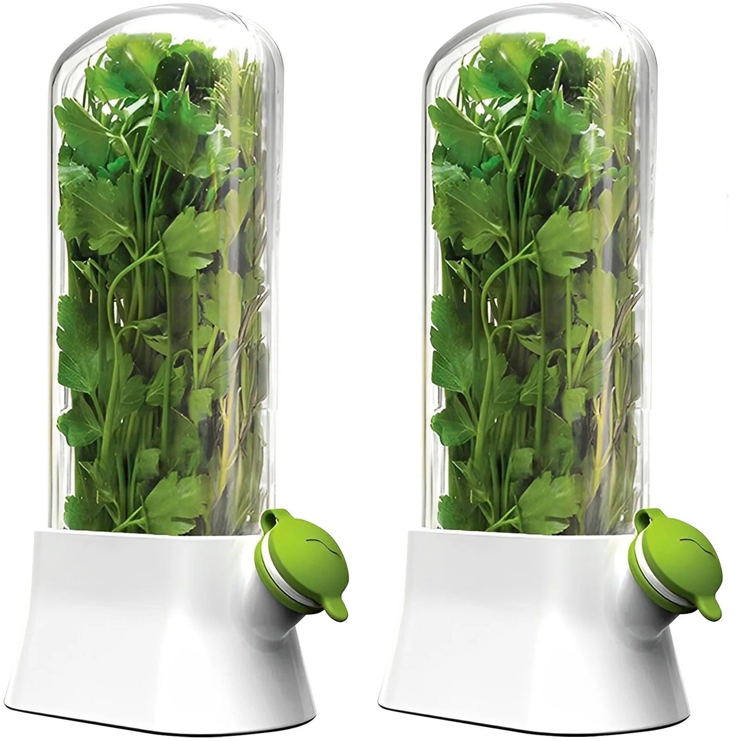Fresh Herb Saver Container – Vegetable & Herb Storage Box